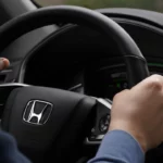 Honda CR-V Steering Wheel Lock Buyers Guide